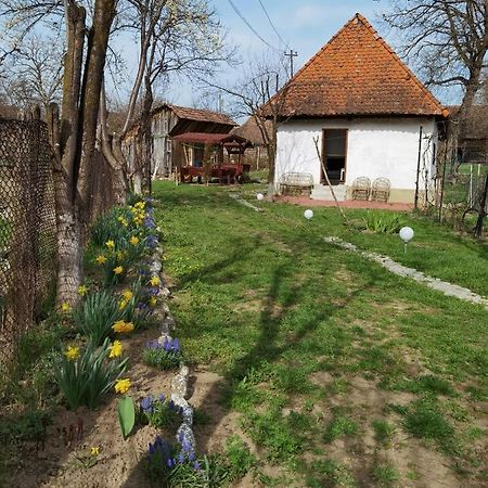 Sovarlak Sarateni Exterior photo