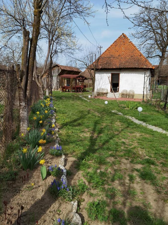 Sovarlak Sarateni Exterior photo